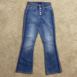 LEE High Rise Kick Flare Rainbow Button Fly Pride Month Jean 23x26